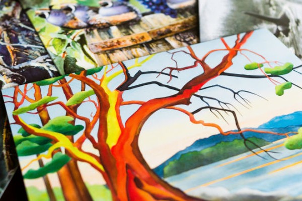 Northwest Collection